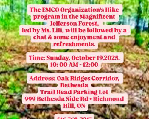 WhatsApp Image 2025-10-05 at 11.25.46_1cc90284